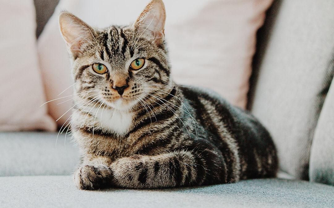 erik-jan-leusink-561776-unsplash