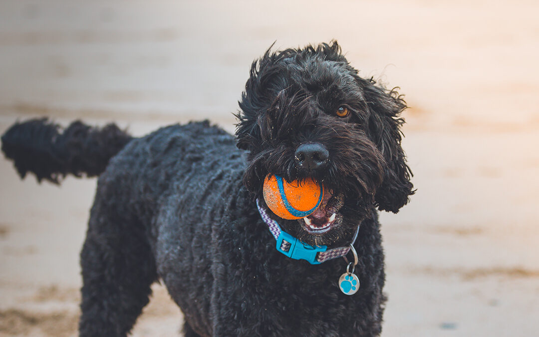 jake-oates-487741-unsplash