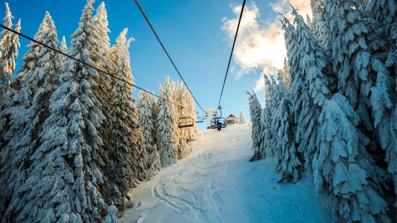 lift passes