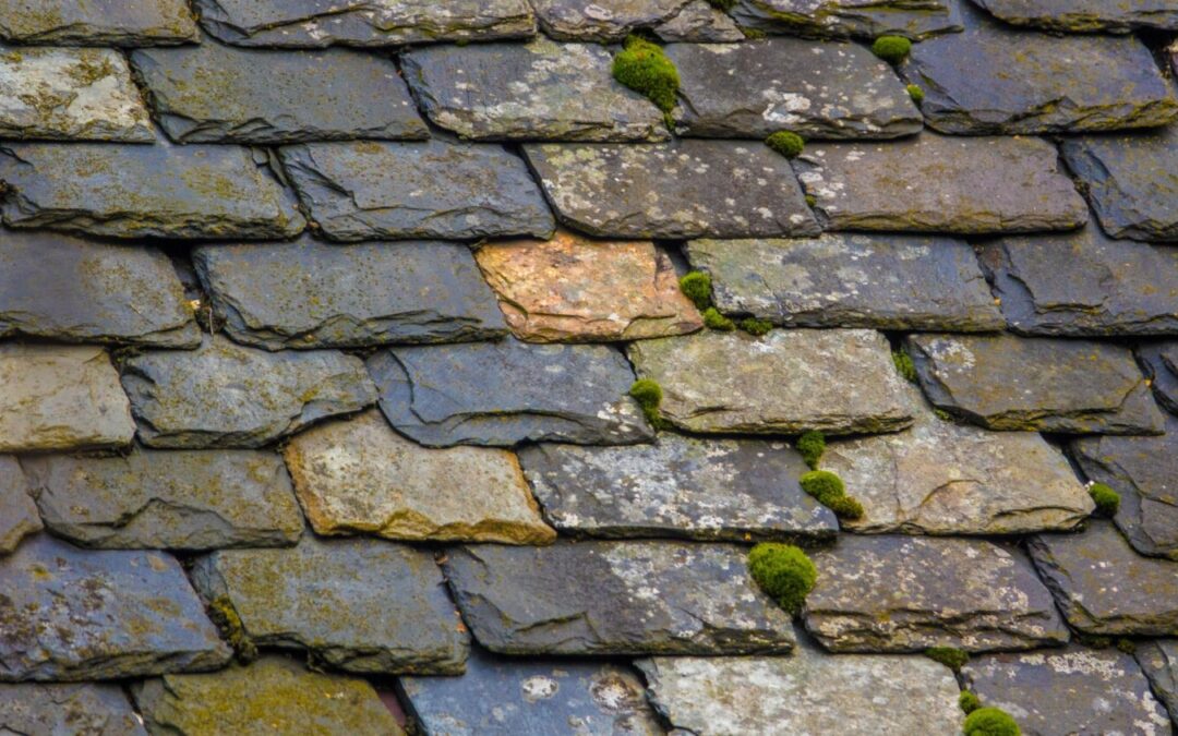 Emergency Roof Repairs: What to Do First