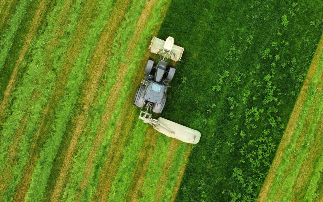 Commercial and Agricultural Fuel Supply: What Businesses and Farmers Need to Know