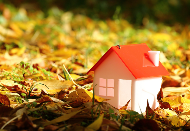 Moving House in Autumn: Tips for a Smooth September Move
